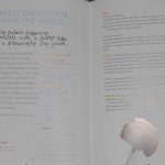 Choc Ice Cream Recipe